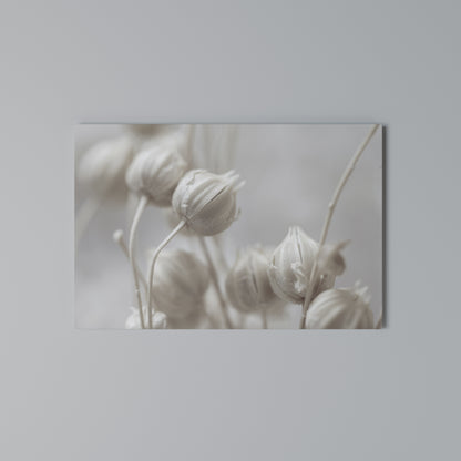 MYSTICAL BOTANICAL BLUSH Horizontal Canvas Print