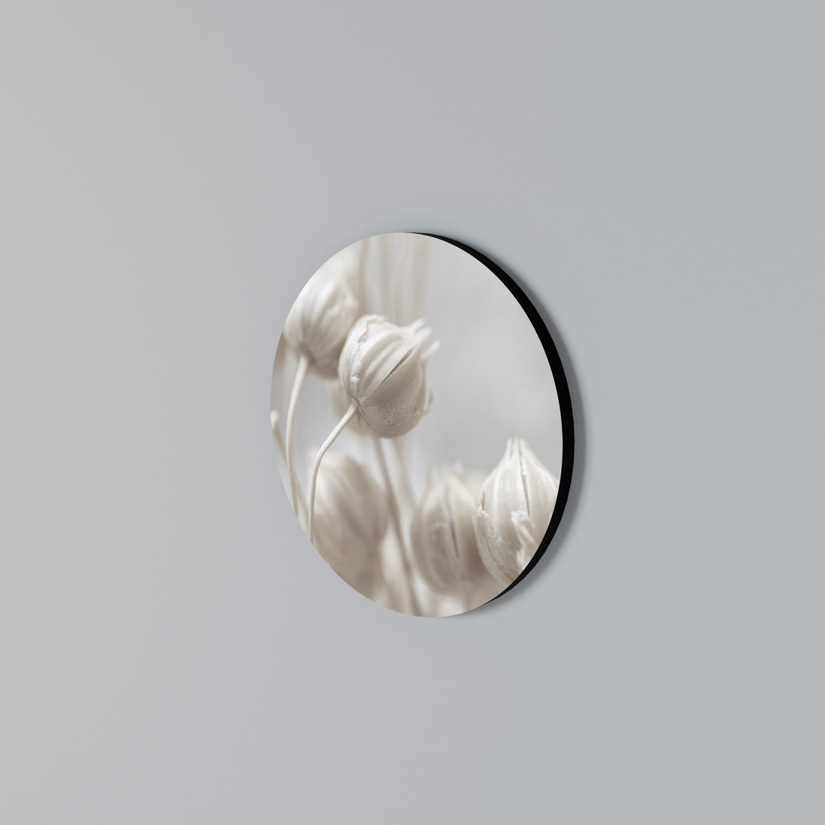 MYSTICAL BOTANICAL BLUSH Kulatá nástěnná dekorace