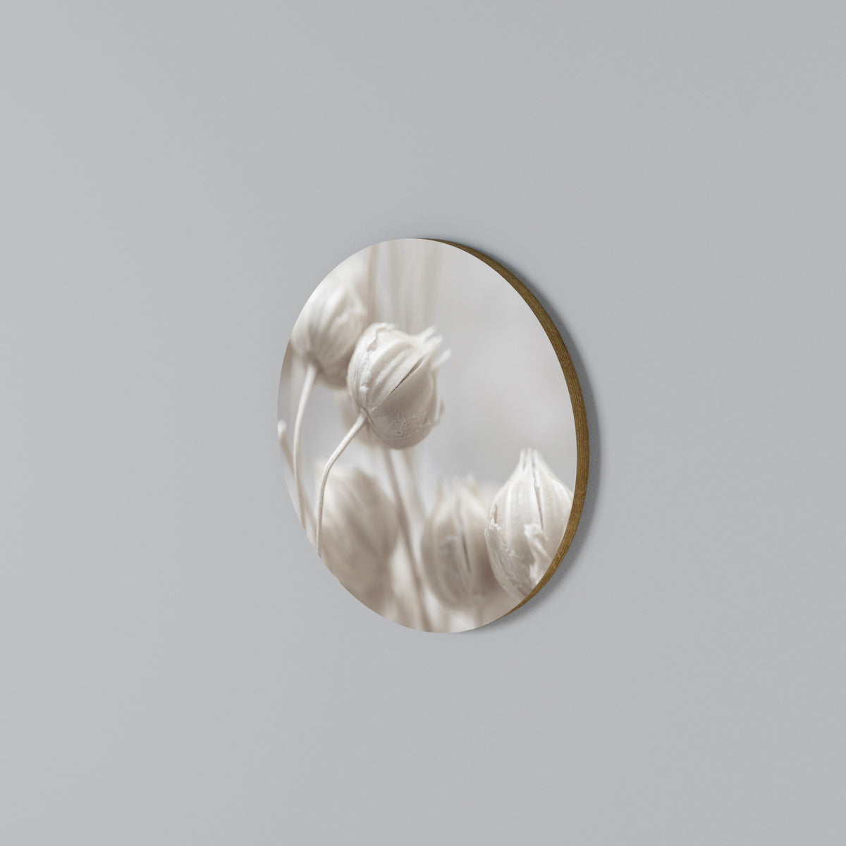 MYSTICAL BOTANICAL BLUSH Kulatá nástěnná dekorace