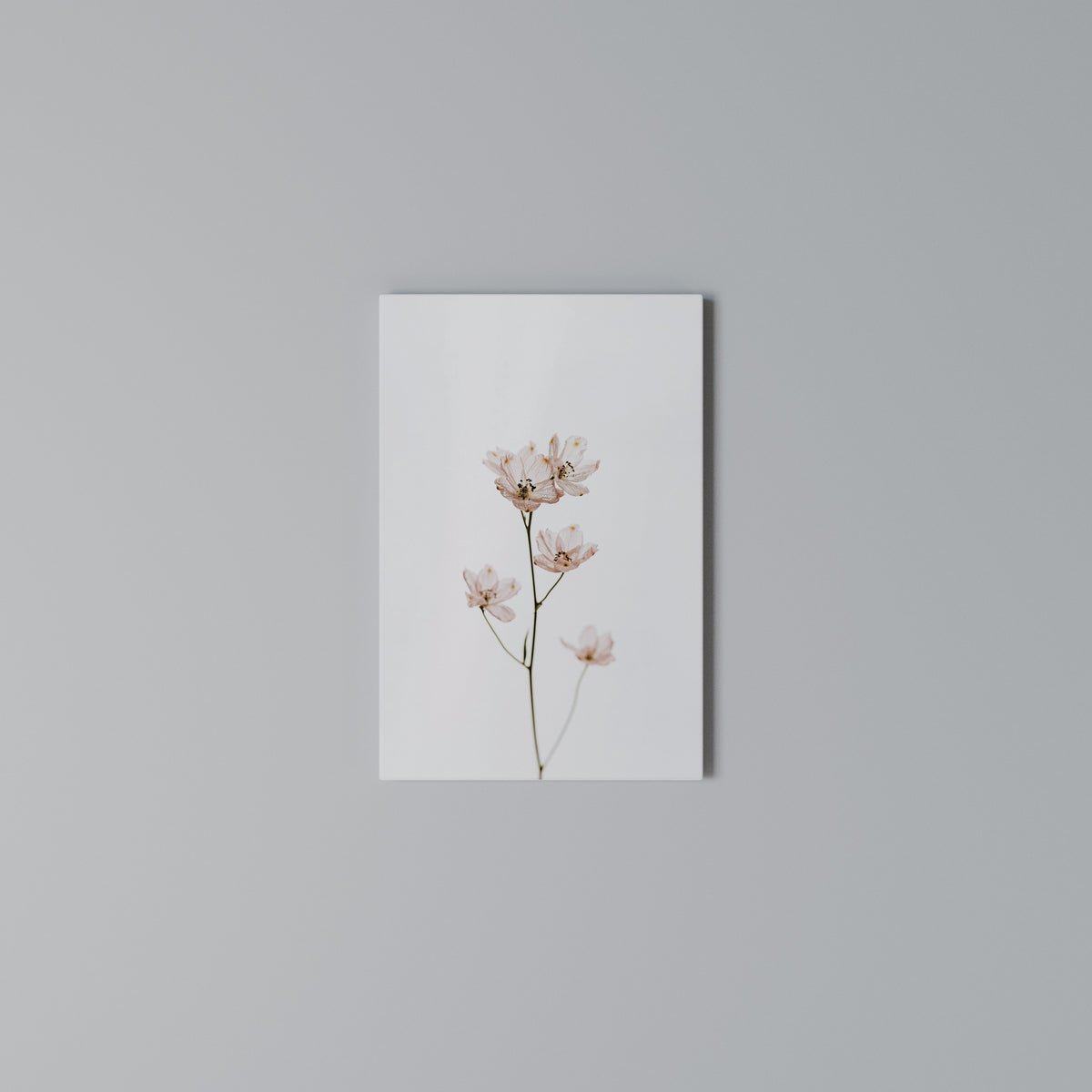 WHISPERS OF PINK Vertical Canvas Print