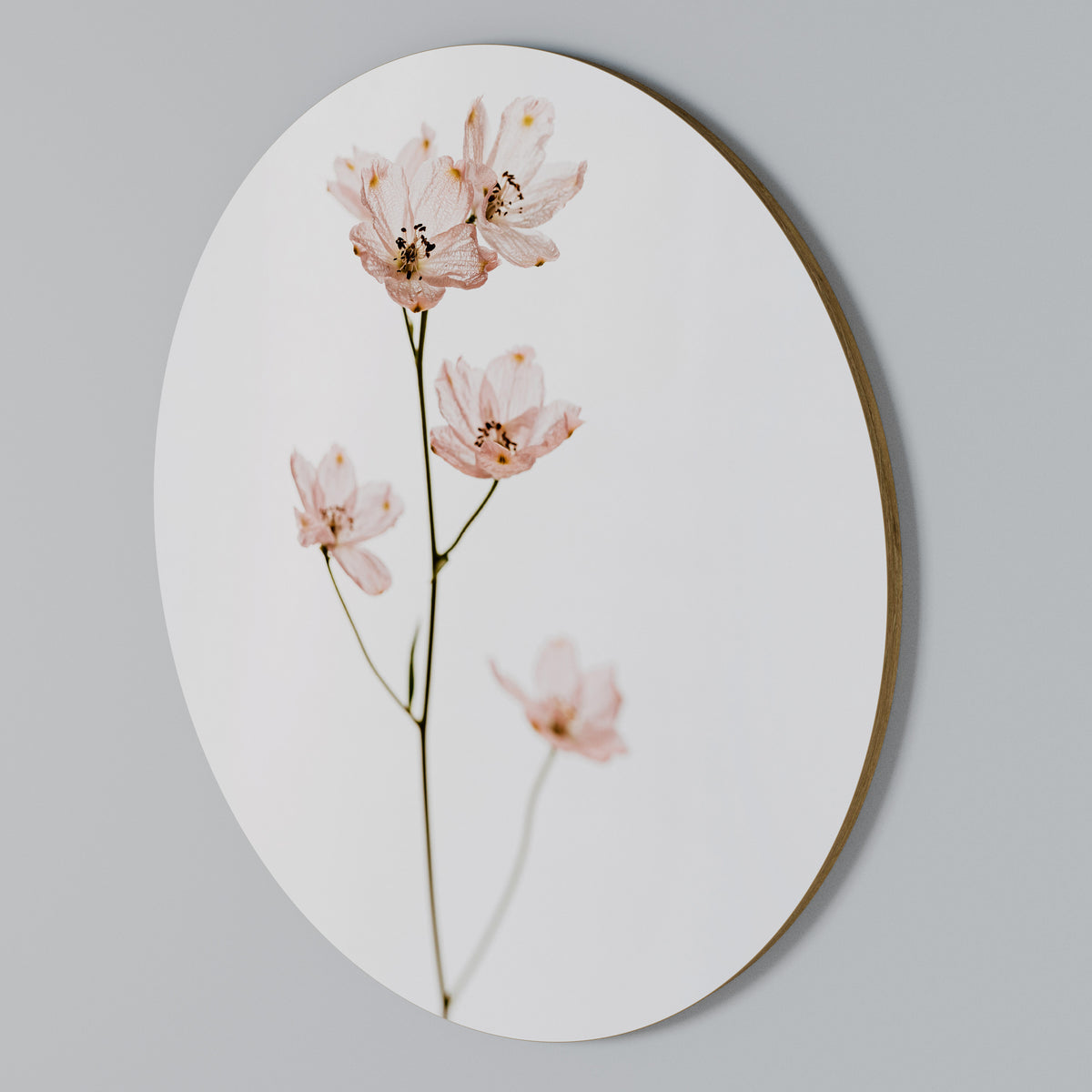 WHISPERS OF PINK Kulatá nástěnná dekorace