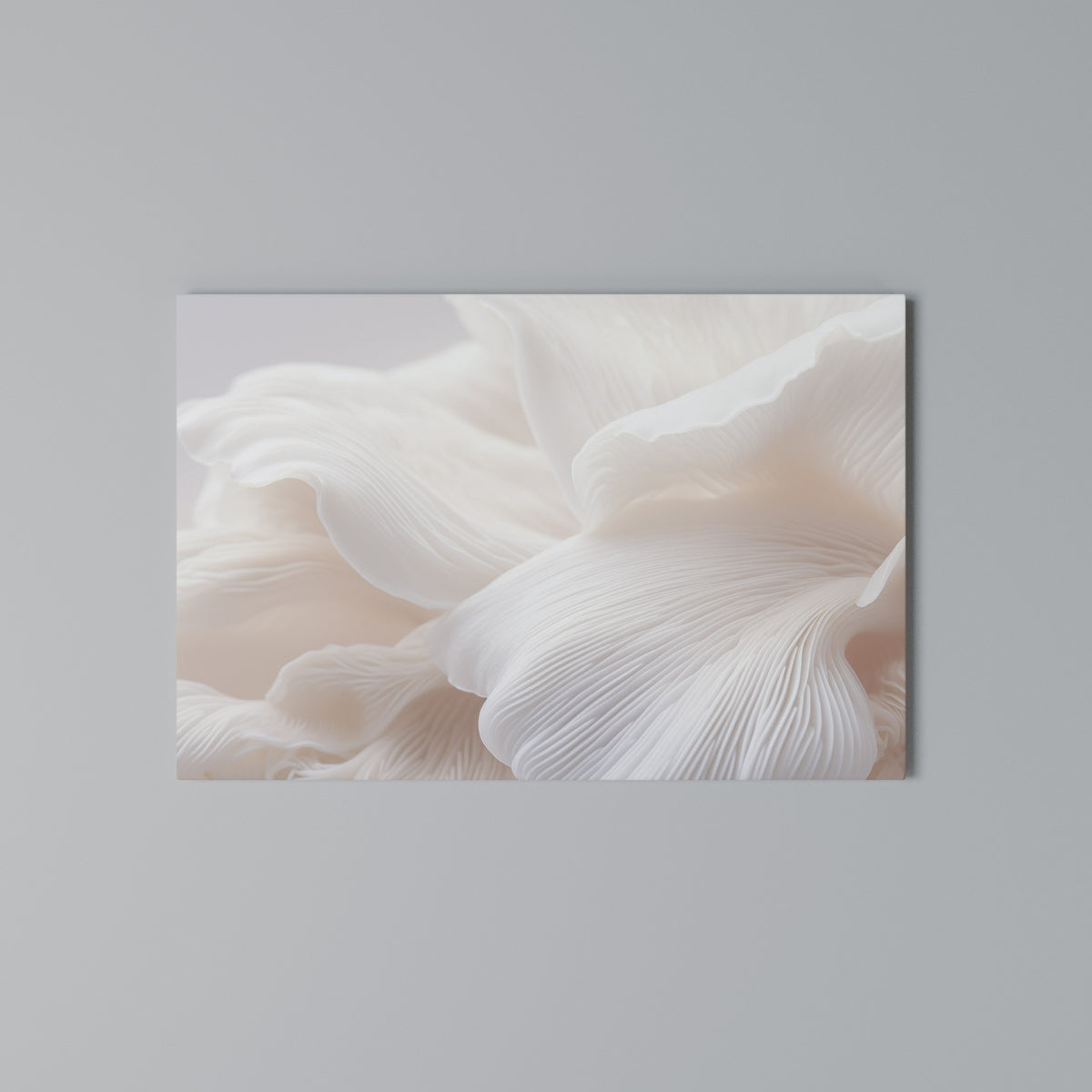 DELICATE PINK HARMONY Horizontal Canvas Print