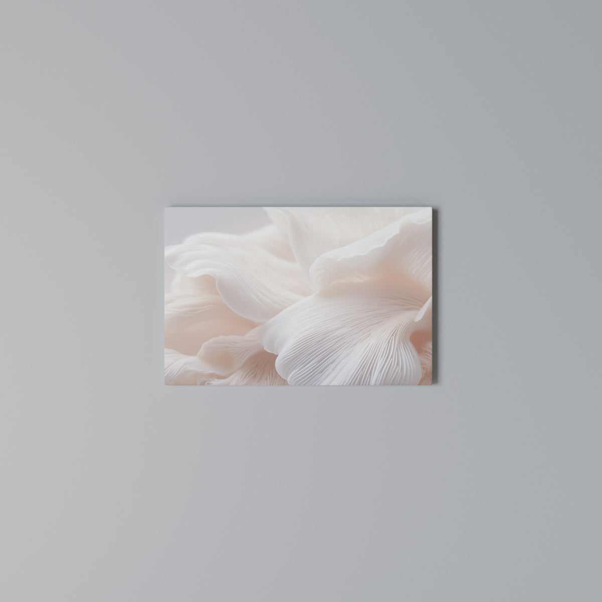 DELICATE PINK HARMONY Horizontal Canvas Print