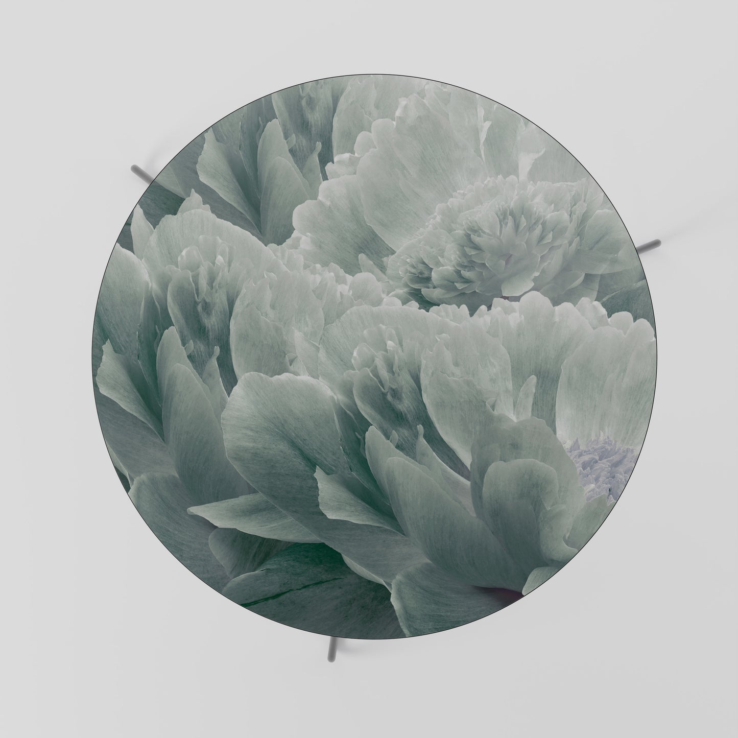 TREE PEONIES Konferenční stolek