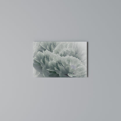TREE PEONIES Horizontal Canvas Print