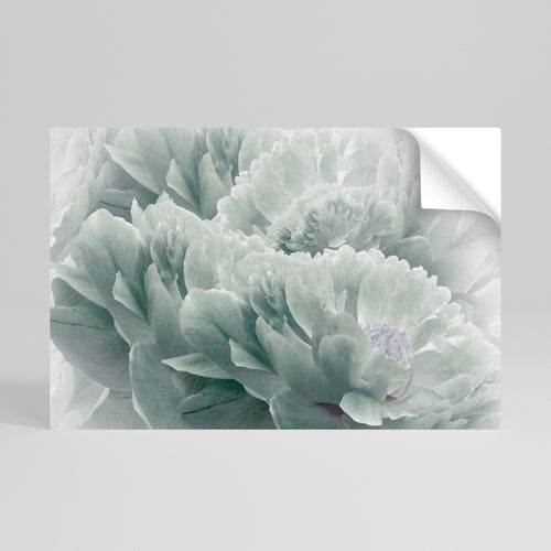 TREE PEONIES Vodorovný samolepicí plakát