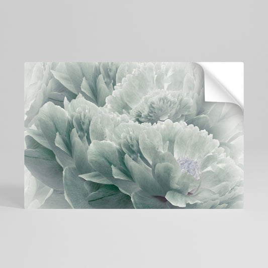 TREE PEONIES Vodorovný samolepicí plakát