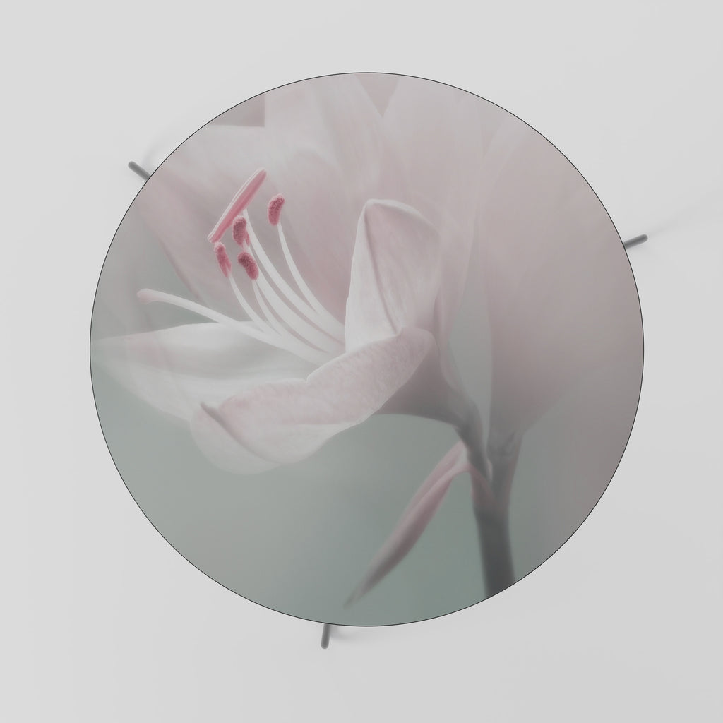 GENTLE LILY Coffee Table