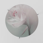 GENTLE LILY Coffee Table