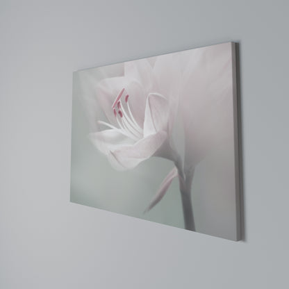 GENTLE LILY Horizontal Canvas Print