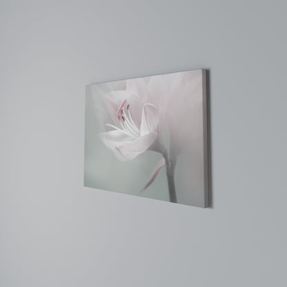 GENTLE LILY Horizontal Canvas Print