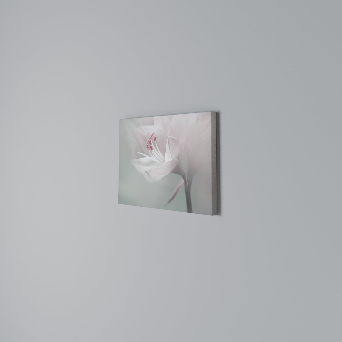 GENTLE LILY Horizontal Canvas Print