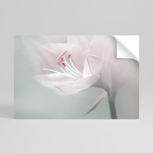 GENTLE LILY Vodorovný samolepicí plakát