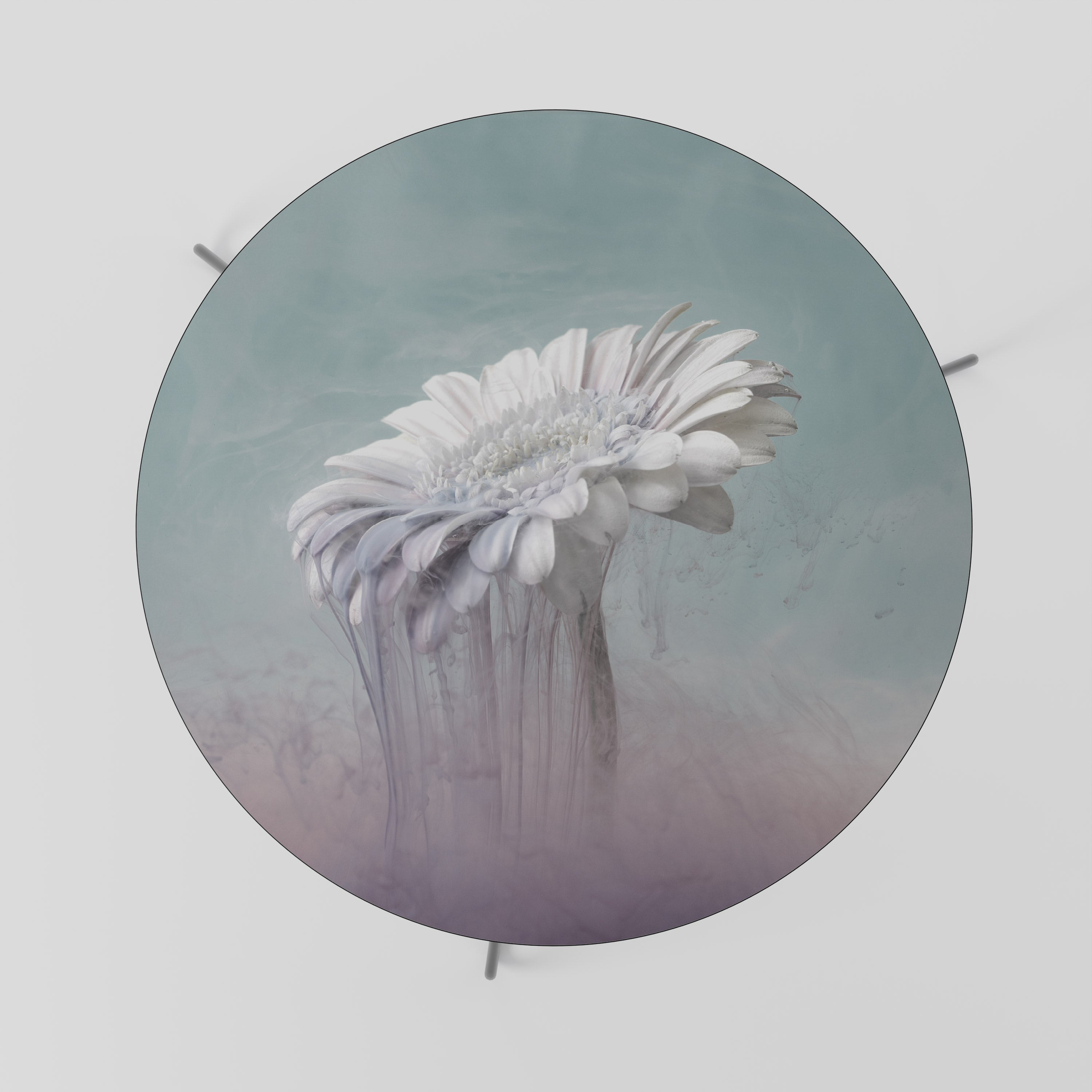 MELTING GERBERA Coffee Table