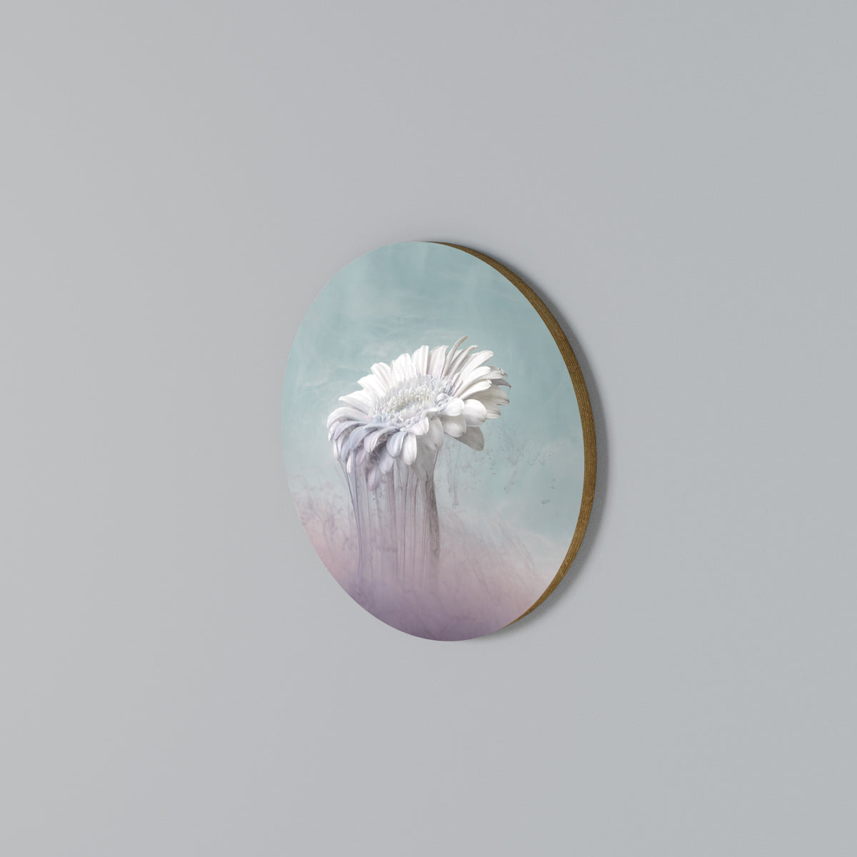 MELTING GERBERA Kulatá nástěnná dekorace