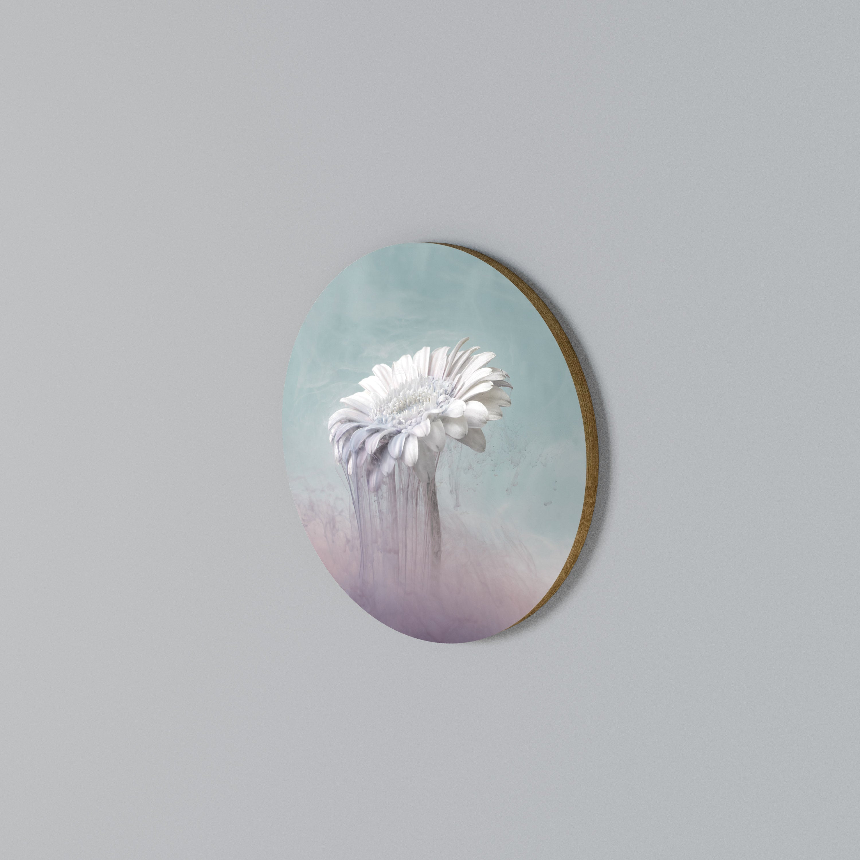 MELTING GERBERA Kulatá nástěnná dekorace