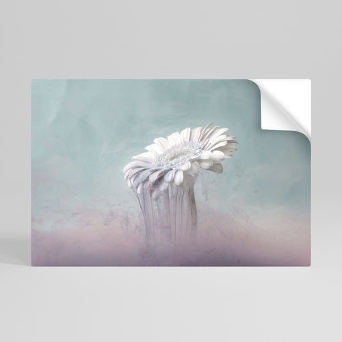 MELTING GERBERA Vodorovný samolepicí plakát