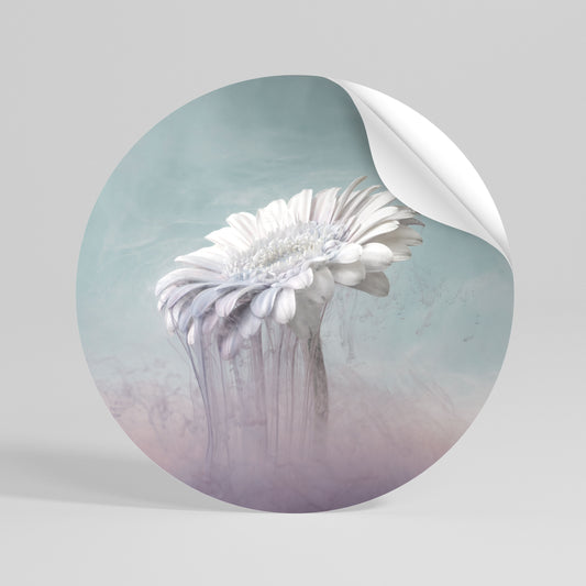 MELTING GERBERA Kulatá samolepka