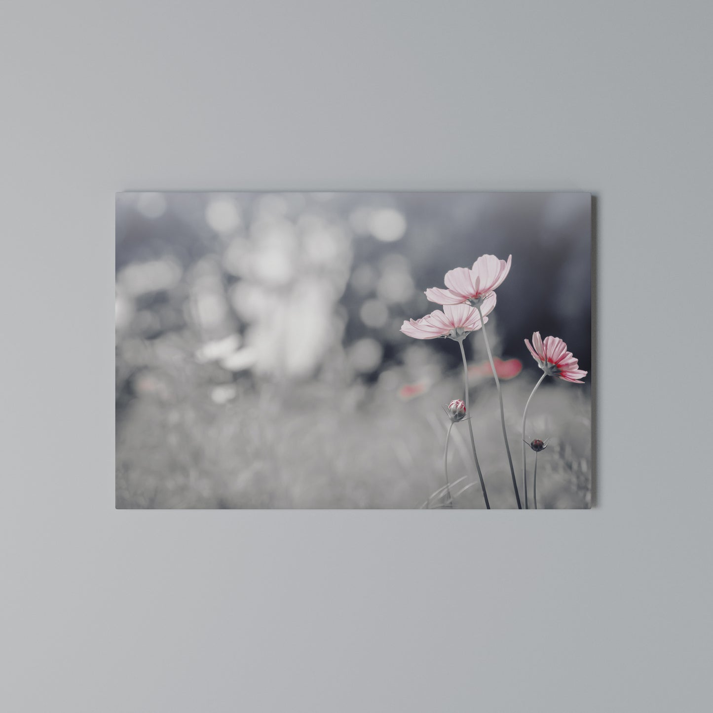 SUBTLE PETAL DANCE Horizontal Canvas Print