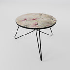 PAINTED LIGHTNESS Coffee Table