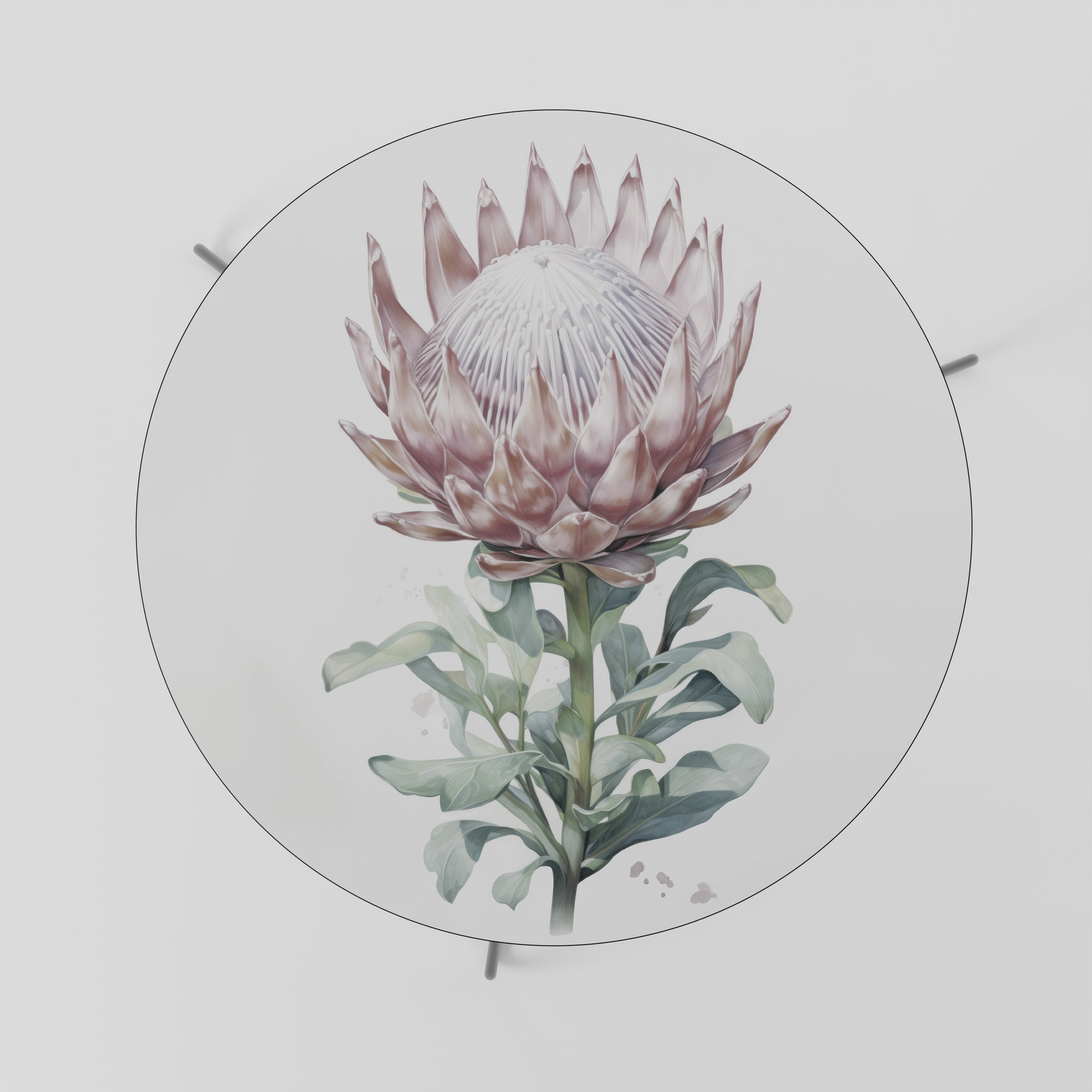 ROYAL PROTEA Coffee Table