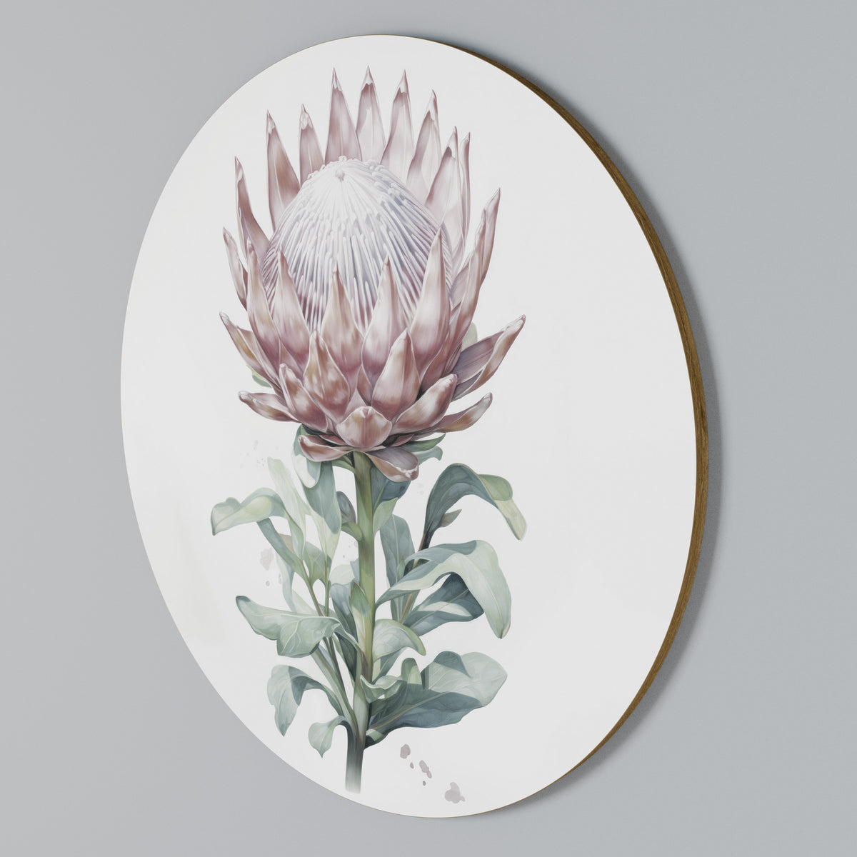 ROYAL PROTEA Kulatá nástěnná dekorace