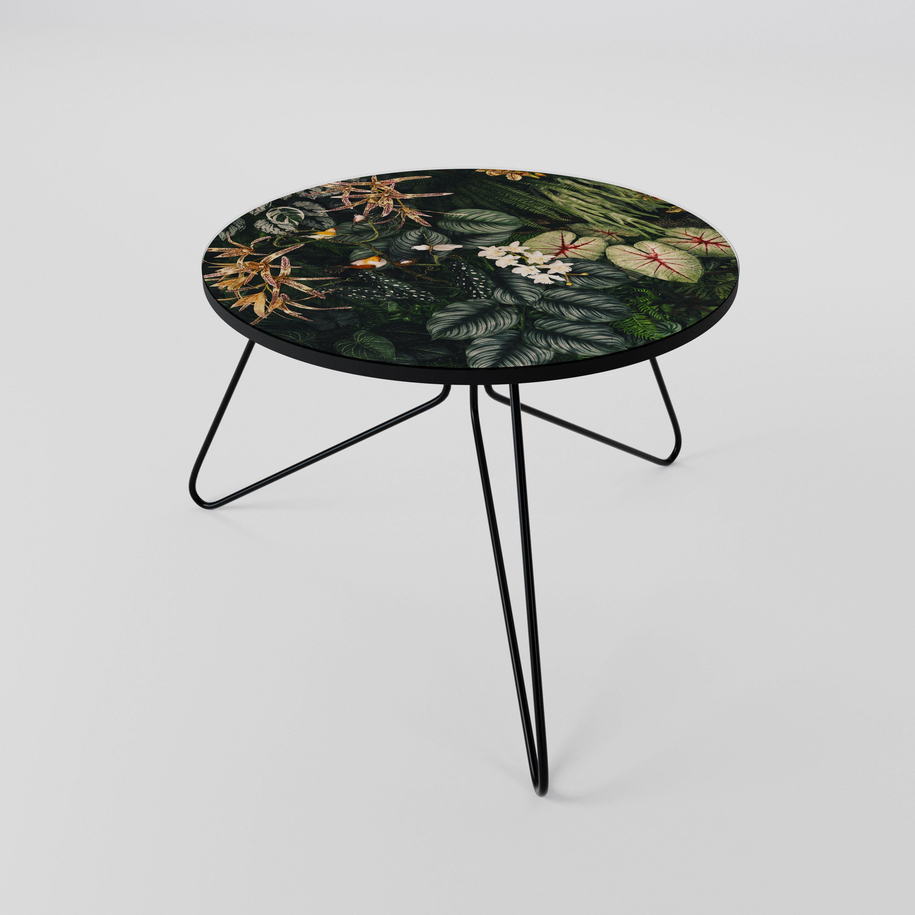 SILENT WILDERNESS Coffee Table