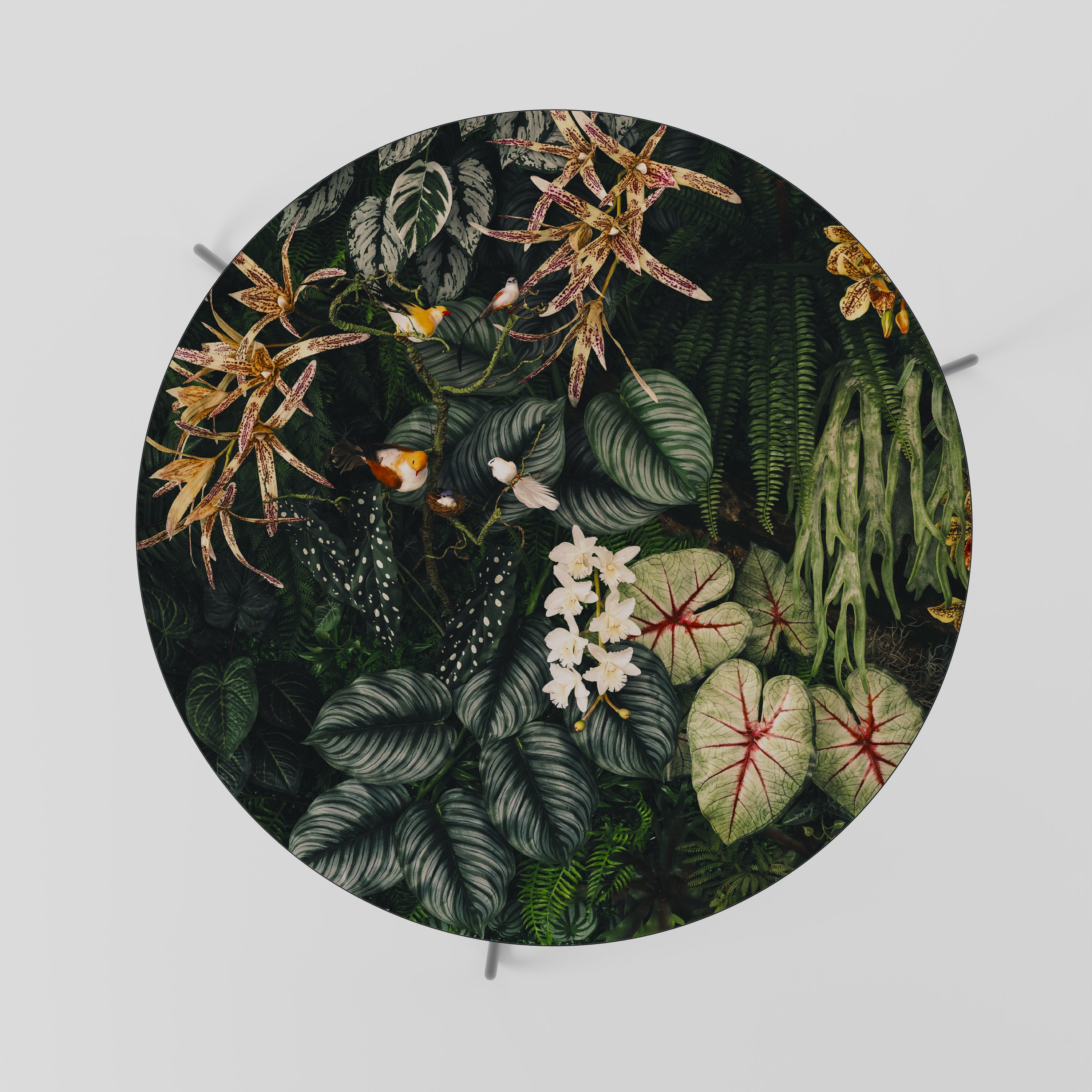 SILENT WILDERNESS Coffee Table