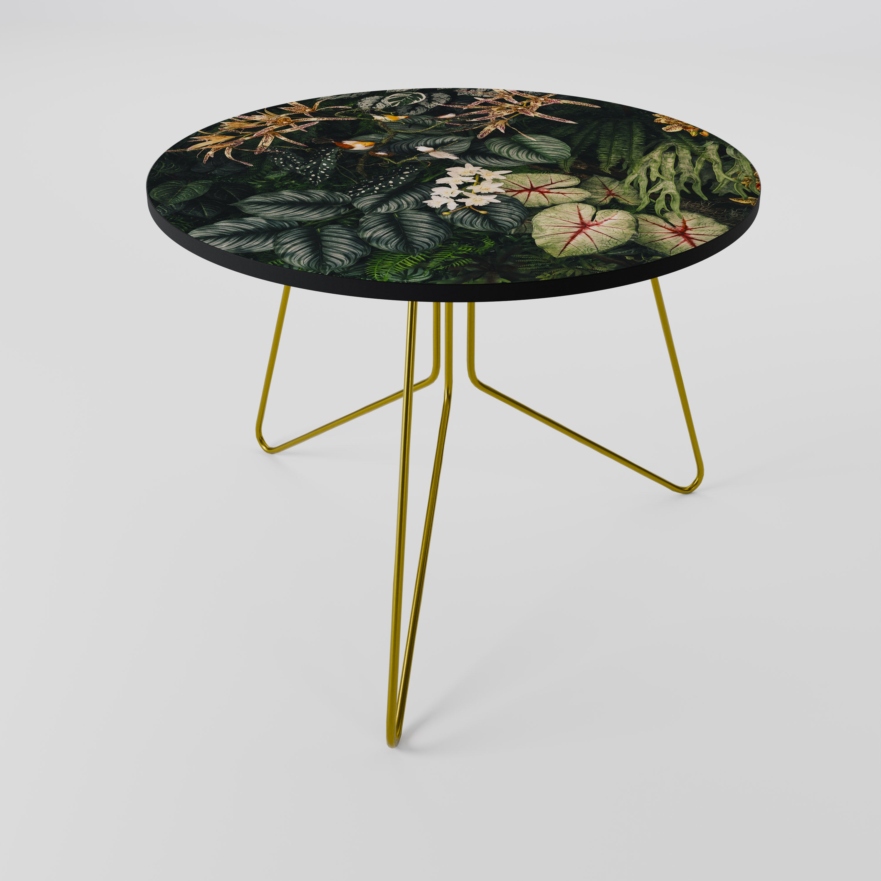 SILENT WILDERNESS Coffee Table