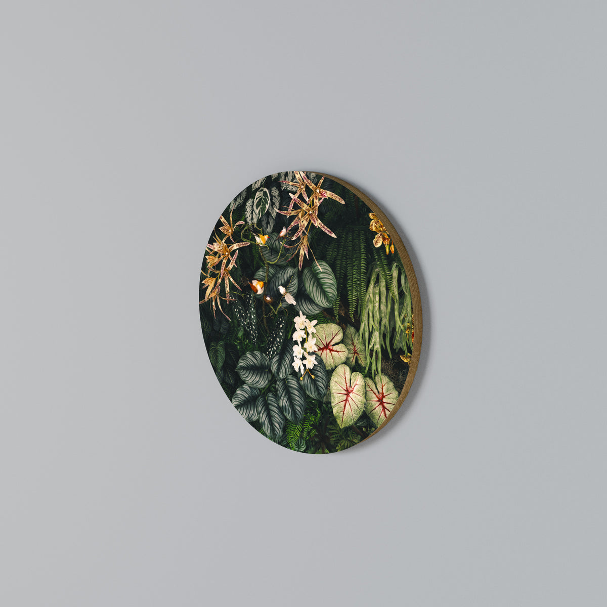 SILENT WILDERNESS Kulatá nástěnná dekorace