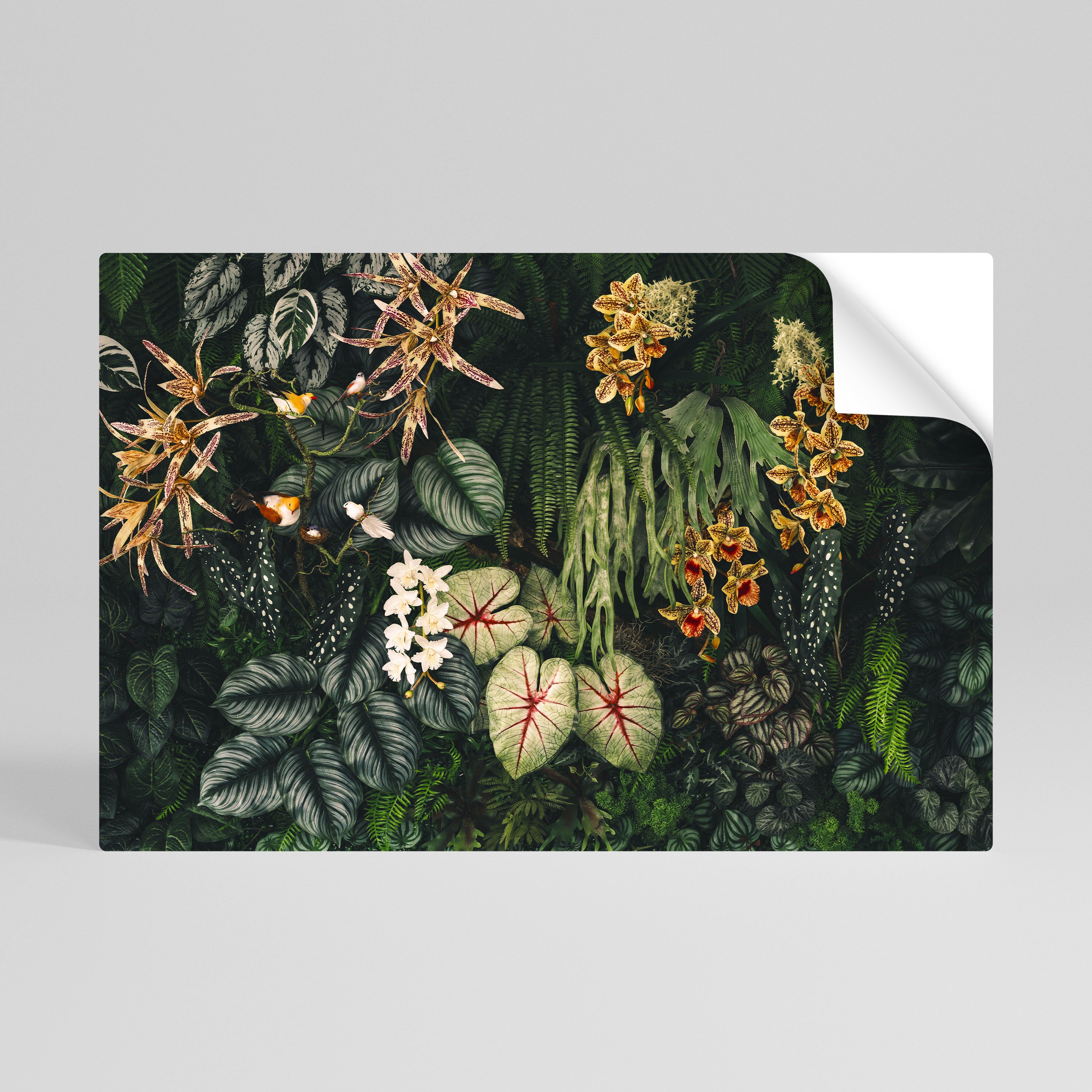 SILENT WILDERNESS Vodorovný samolepicí plakát