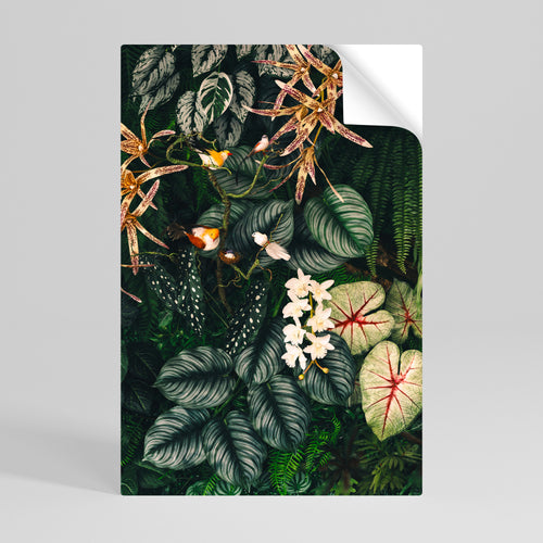 SILENT WILDERNESS Svislý samolepicí plakát