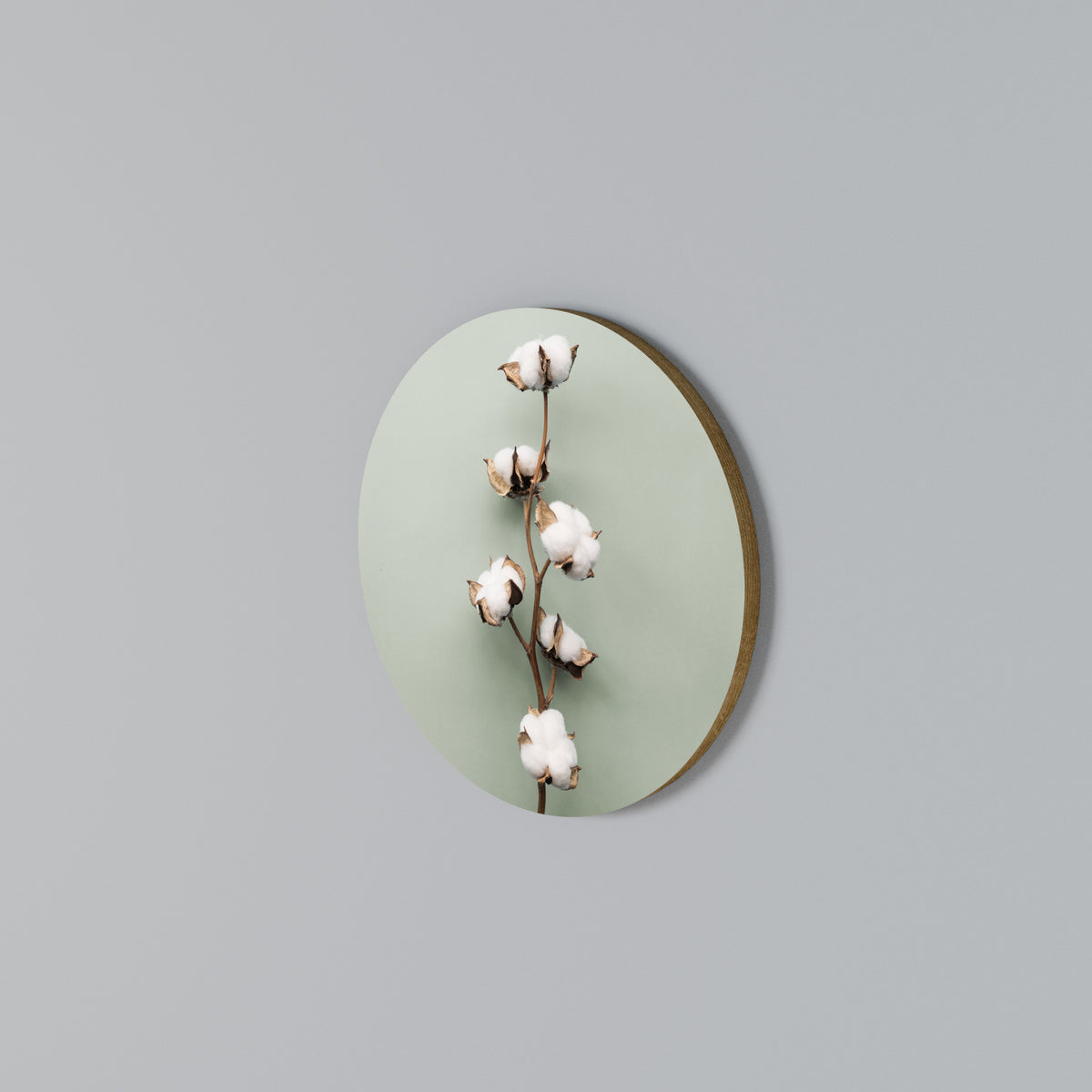 COTTON DREAMS UNFOLDED Kulatá nástěnná dekorace