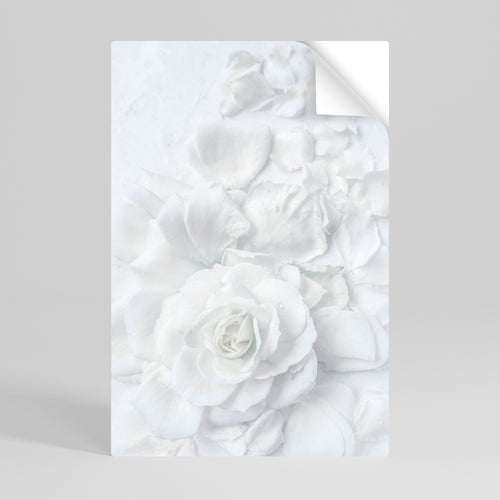 ELEGANCE IN CLARITY Svislý samolepicí plakát