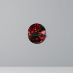 DAHLIAS AND POMEGRANATES Designová police