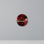 DAHLIAS AND POMEGRANATES Designová police