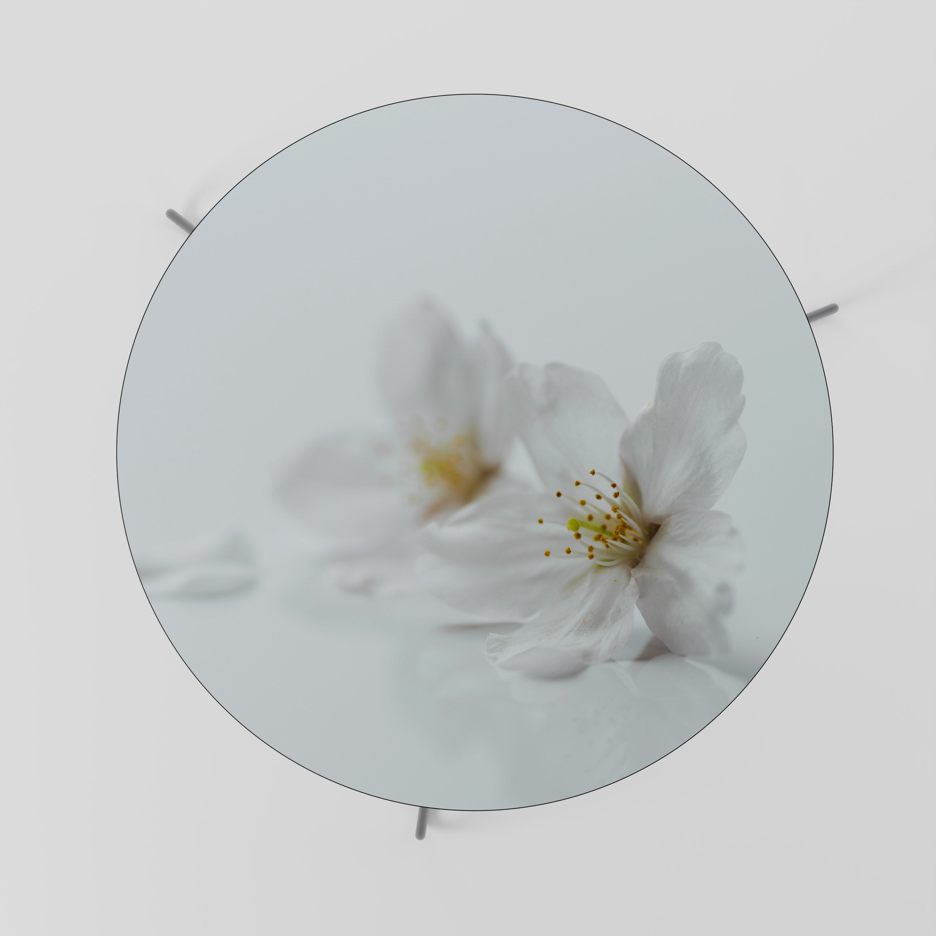 FLEETING WHITE PETALS Konferenční stolek