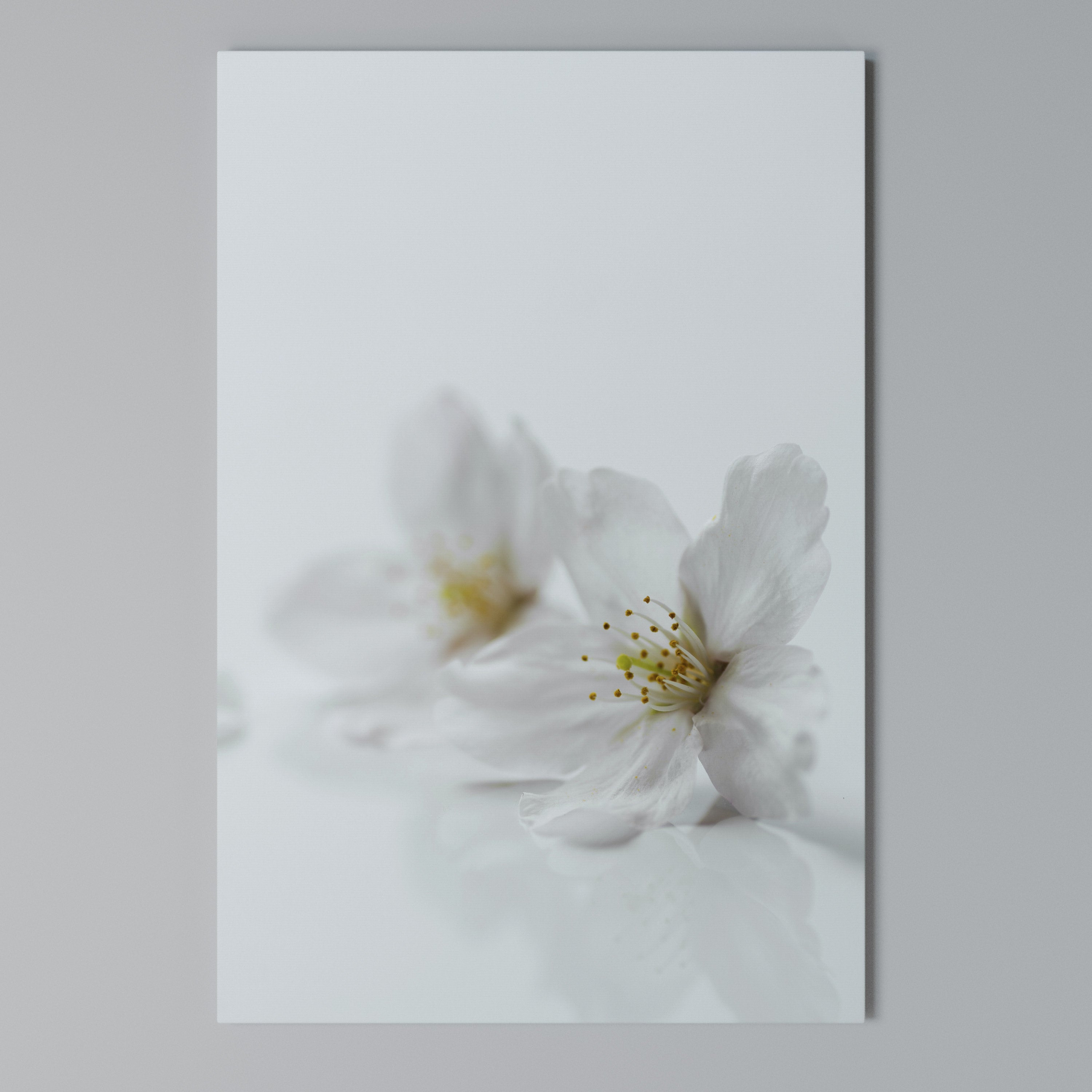 FLEETING WHITE PETALS Vertical Canvas Print