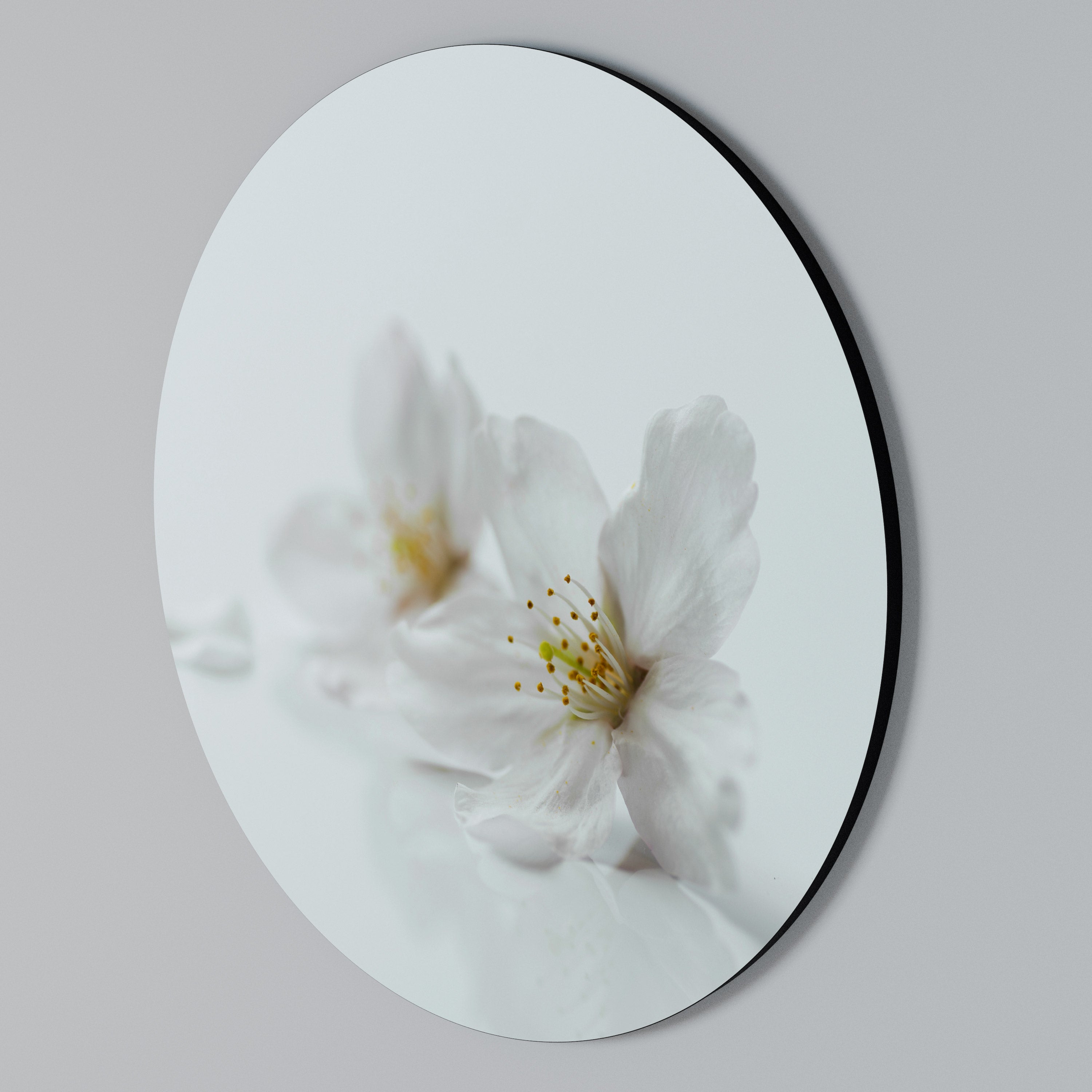 FLEETING WHITE PETALS Round Wall Art