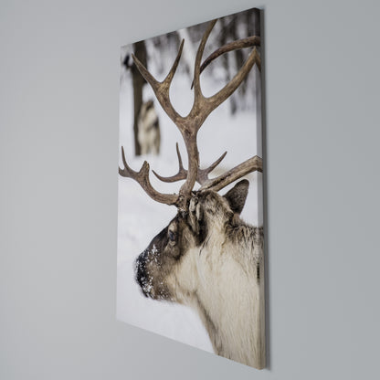 WHISPERS OF FROST Vertical Canvas Print