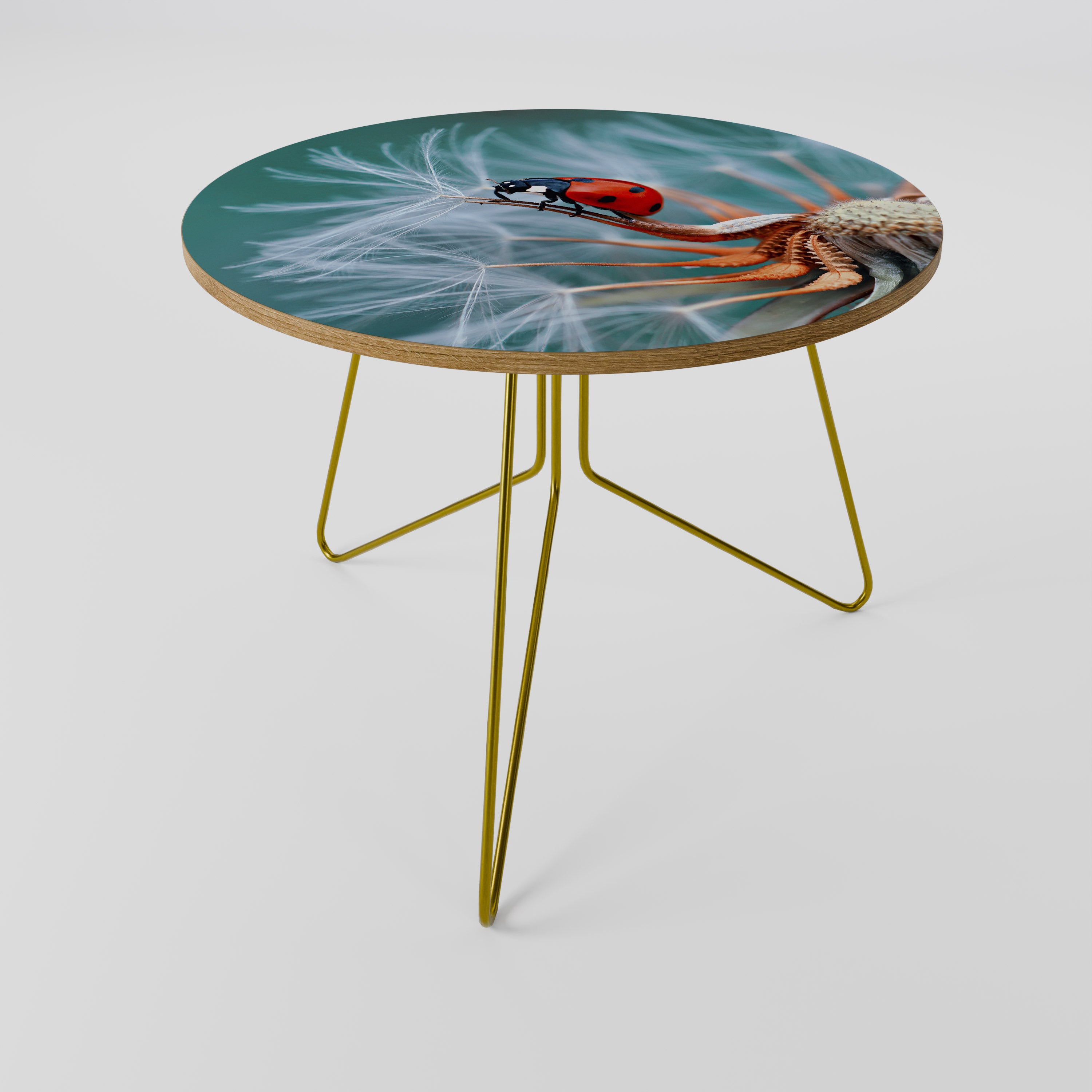 LADYBUG BALANCE Coffee Table