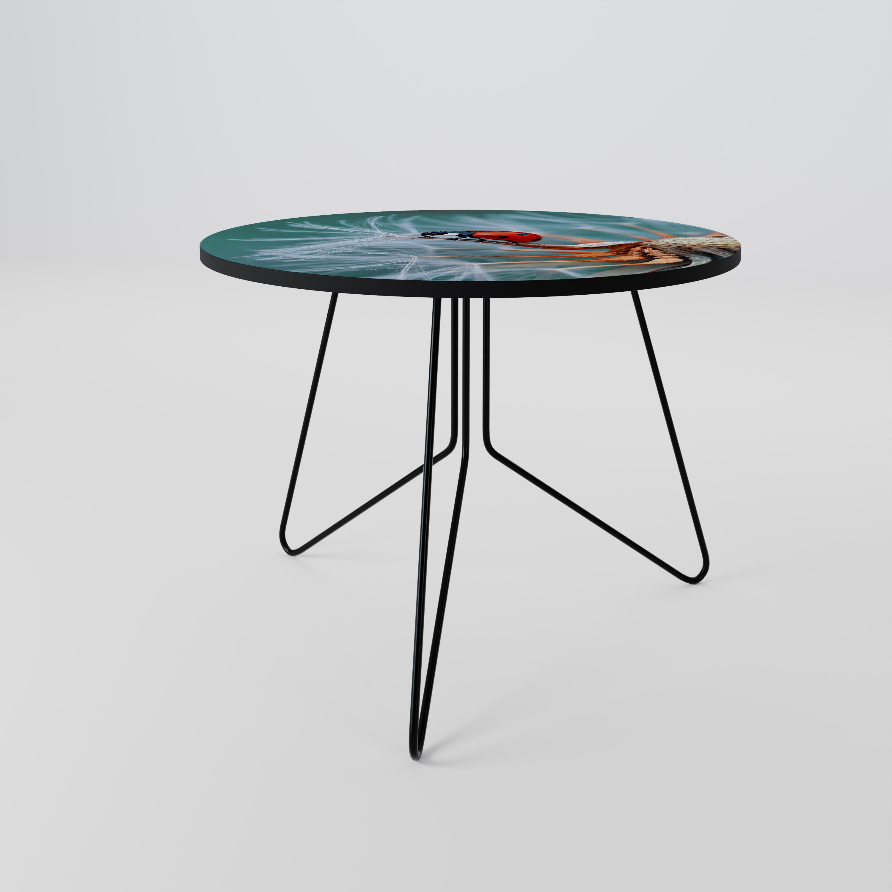 LADYBUG BALANCE Coffee Table