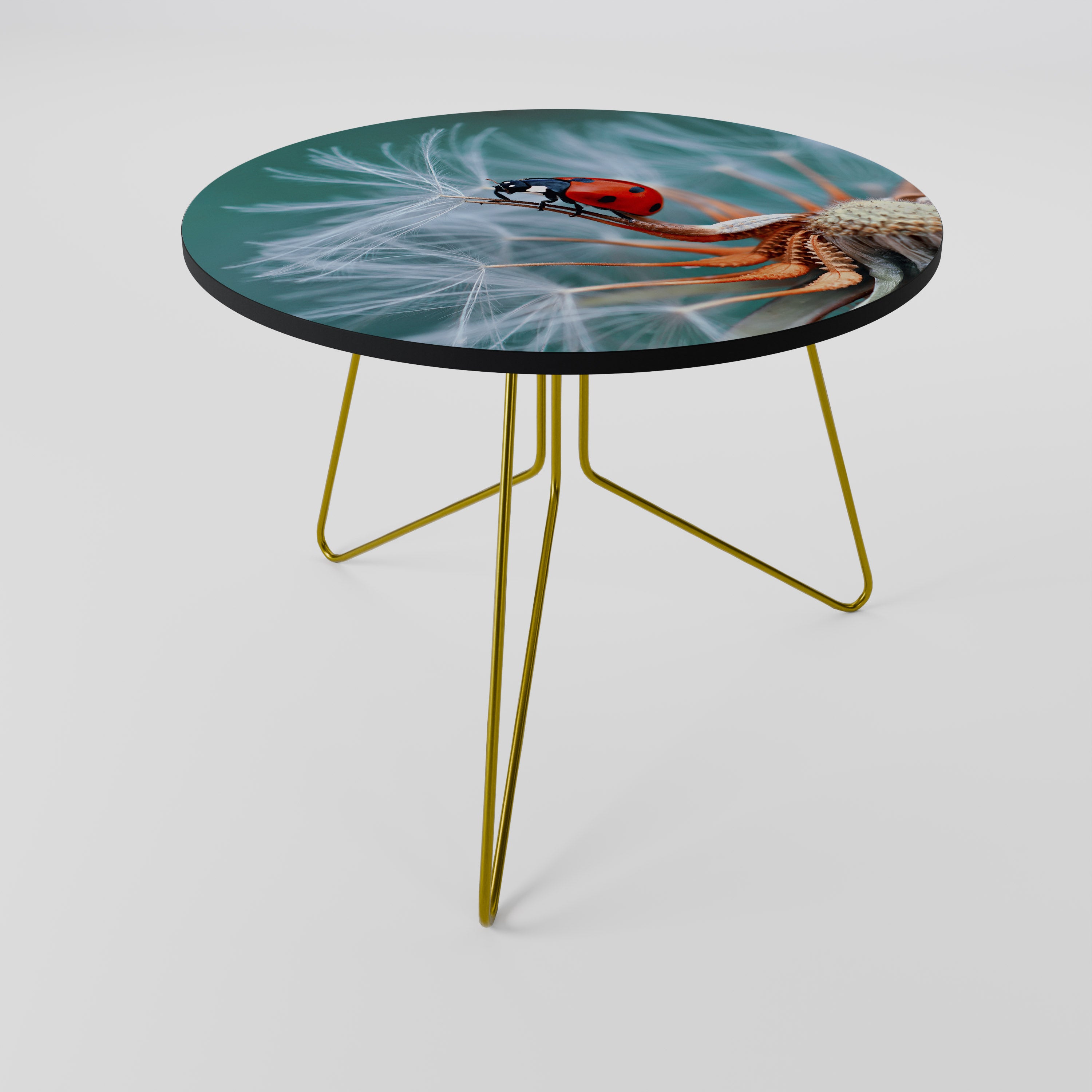 LADYBUG BALANCE Coffee Table