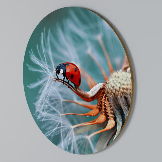 LADYBUG BALANCE Kulatá nástěnná dekorace