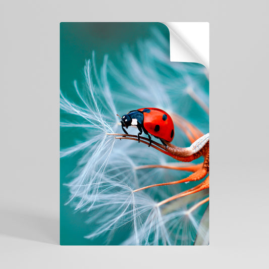 LADYBUG BALANCE Svislý samolepicí plakát