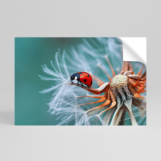 LADYBUG BALANCE Vodorovný samolepicí plakát