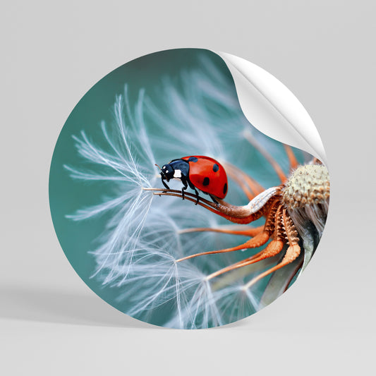 LADYBUG BALANCE Kulatá samolepka