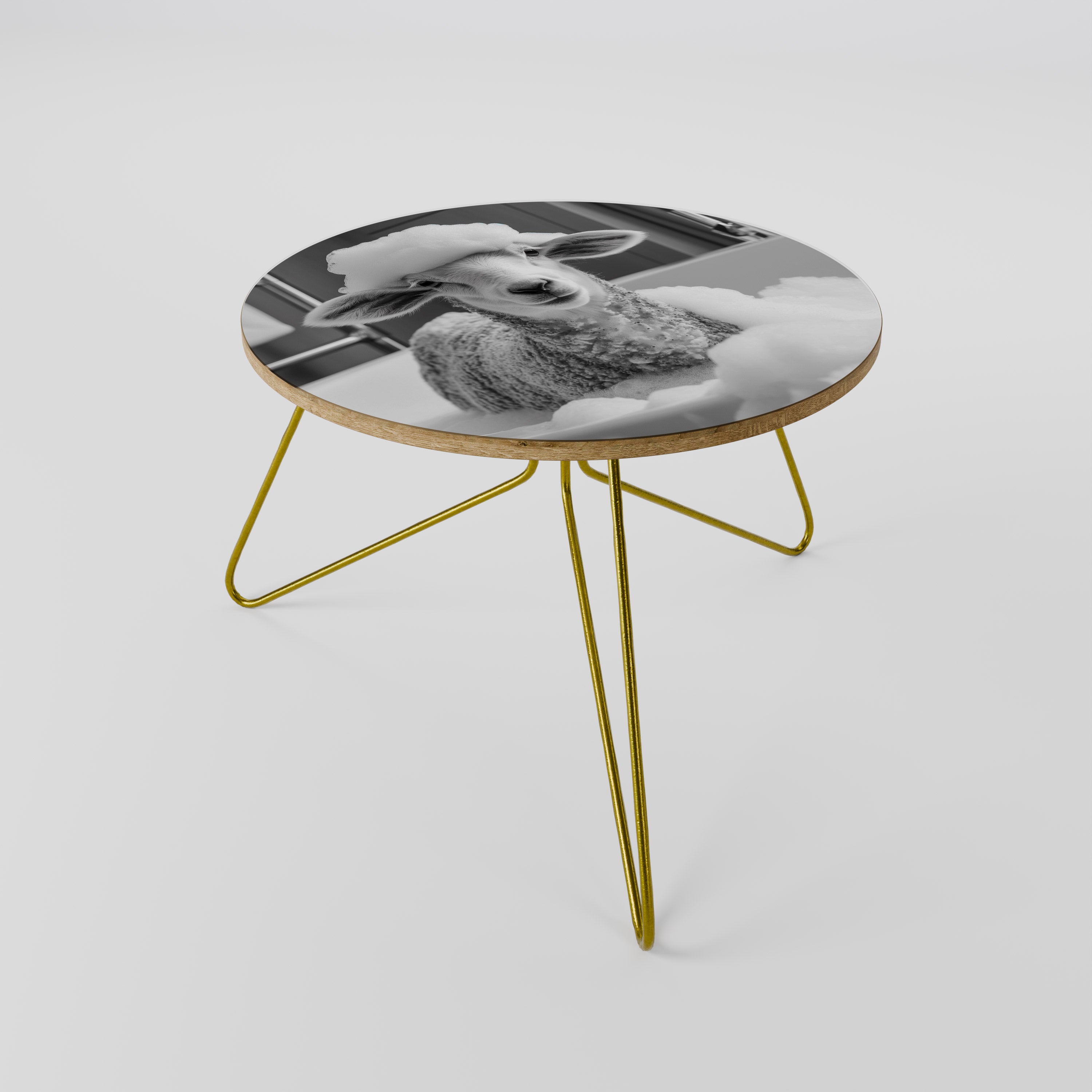 BUBBLE BATH BAA Coffee Table