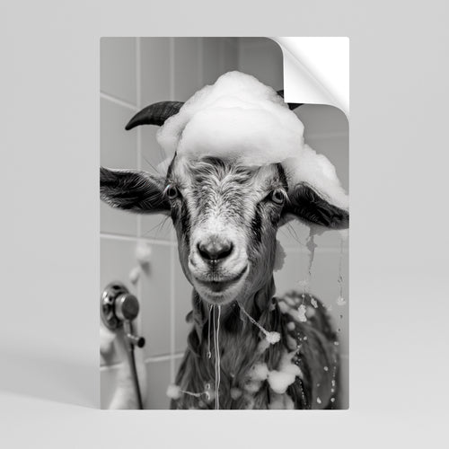 SOAPY GOAT GIGGLES Svislý samolepicí plakát