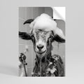 SOAPY GOAT GIGGLES Svislý samolepicí plakát